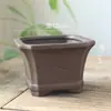 Maceta de Cerámica Negra Cocida Simple Flor de Ciruelo, Bambú y Crisantemo Jardinería de Suculentas Mini Bonsái Alta Temperatura Transpirable Arena Púrpura Planta Verde
