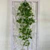 Tela de Serigrafía Pothos Simulado Colgante de Pared Floral Planta Falsa Ratán Hoja de Uva Hoja de Pothos Verde Hoja de Arce Vides Decoración