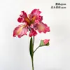 Simulación Retro 2 Flor de Iris de Alicia Flor Artificial Hogar Hotel Belleza Chen Decoración Simulación Pintura al Óleo Estudio Fotográfico