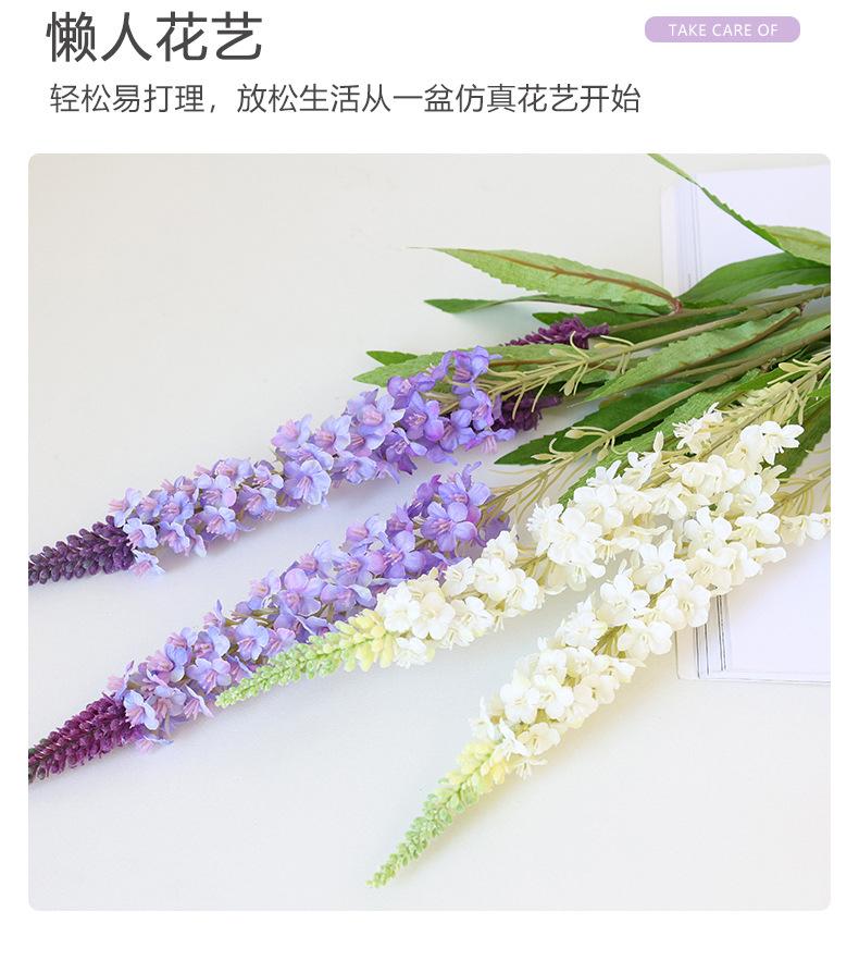 梵思单枝薰衣草_04.jpg