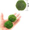 Exclusivo transfronteiriço bola de musgo verde bola de musgo jardinagem vaso de flores de musgo vaso de bonsai bola de grama bola de flor seca flor seca ornamento pendurado