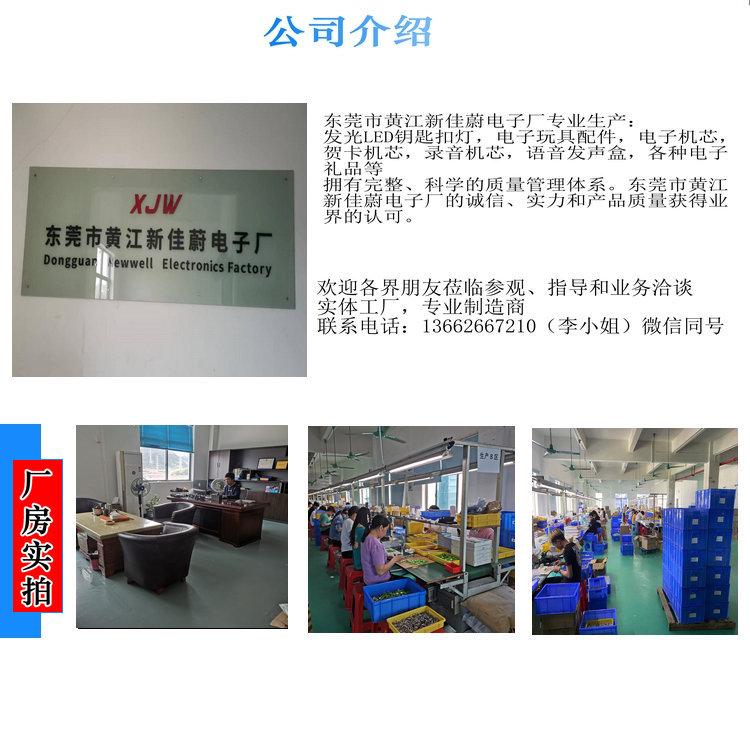 公司介绍