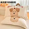 Funda de Almohada de Terciopelo de Leche Engrosada 48X74cm Paquete Doble Invierno para Niños y Adultos Funda Interior para Almohada Individual del Hogar