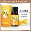 Óleos Essenciais de Rosa Coreana e Planta de Artemísia para Salões de Beleza, Massagem Gua Sha, Cuidados com a Pele, Óleo Corporal e Óleos Essenciais Compostos de Agarwood Atacado
