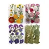Flores Secas DIY Embossed DIY Pacote de Material Embossado Petal de Foto Marcador de Página Cola de Flor Real Folhas Secas Espécime de Planta