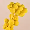 Bolas Doradas del Fabricante, Flores Naturales Reales, Materiales para Manualidades, Decoración del Hogar para la Sala de Estar, Arreglos Florales, Adornos de Flores Secas, Martillos Dorados