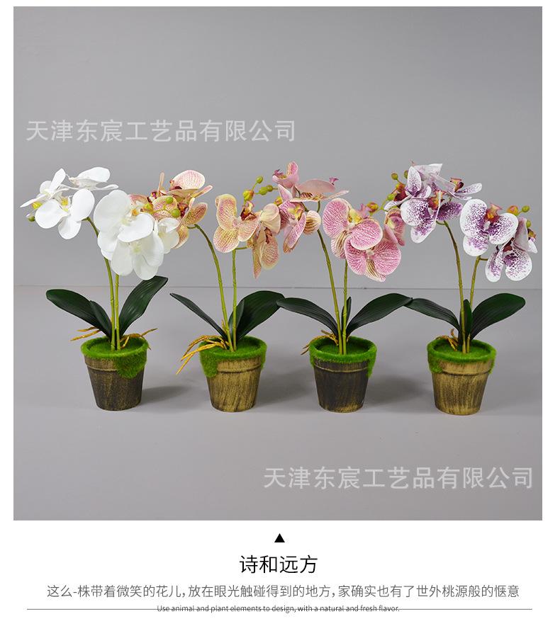 详情_05.png