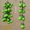 Espetos Decorativos de Frutas e Legumes Pendurados, Espetos de Pimenta Falsos, Milho Decorativo para Ornamentos de Fazenda, Restaurante, Pátio, Pingentes de Colheita
