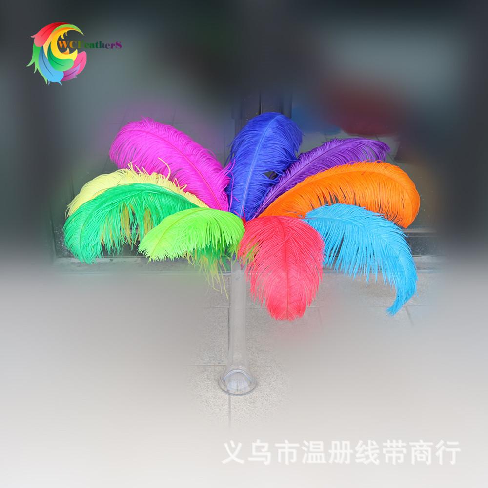 鸵大杆 60-65cm 3