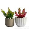 Decoración de planta suculenta de simulación, planta en maceta, adornos de planta verde, Loto de Jade, cadena de dinero, grano de fruta, plato combinado de flores de plástico