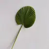 Planta Artificial Hojas de Palma de PU, Hojas de Bambú, Hojas de Abanico, Sala de Muestras de Hojas Arreglo Floral Decoración de Boda Venta al por Mayor