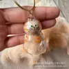 Colgante Llavero para Guardar Pelo de Mascota, Llavero Creativo de Alto Valor Estético, Colgante Bola de Pelo de Gato con Carcasa Transparente, En Stock