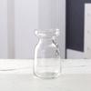 Cabello lacio adornos estilo nórdico sala de estar flor vidrio ins jarrón decorativo simple botella de vidrio adornos creativos venta al por mayor