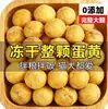 Snack para mascotas de yema de huevo liofilizada, suplemento nutricional universal para gatos y perros, alimento principal mezclado con croquetas, paquete de 1000 g