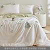 Clase a Lujo Accesible Verano Lenzing Tencel Juego de Cuatro Piezas 2025 Nuevo Seda Helada Cama Fresca Sábanas Cubre Edredón Ropa de Cama Estilo Princesa