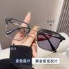 Gafas fotocromáticas populares de doble puente Tecnología moda para hombre Gafas retro personalizadas de ceja para miopía