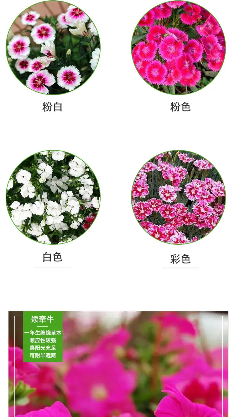 详情页_03