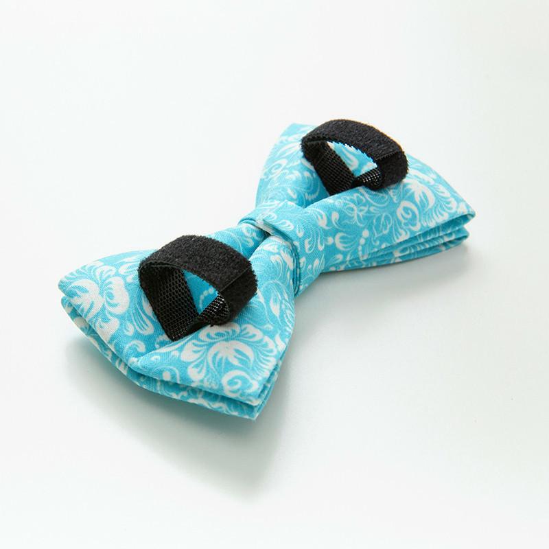 dog collar (2_副本