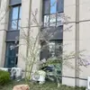 Planta Artificial Dorada Densa de Hojas Pequeñas y 5 Ramas para Boda y Decoración del Hogar, Al Por Mayor