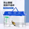 Tanque para Tortugas con Plataforma para Tomar el Sol, Tanque de Plástico para Cría de Tortugas para Uso Doméstico, Caja Portátil Pequeña para Tortugas Mascotas con Tapa, Contenedor de Alimentación