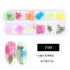 Nueva Uña Japonesa Flor Seca 12 Colores Estrella Girasol Margarita Pequeña 12 Colores Decoración de Flor Seca 24 Flores Secas para Uñas