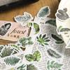 Pacote de Adesivos Série Trilha da Montanha Yanji Material Decorativo Manual de Plantas Adesivo 45 em 8 Seleções