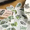 Pacote de Adesivos Yanji Série Caminho na Montanha e Floresta Adesivos para Decoração de Diário de Plantas 45 Peças em 8 Designs para Escolher