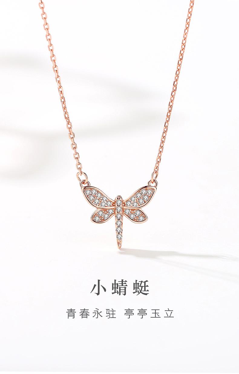小蜻蜓_01.jpg
