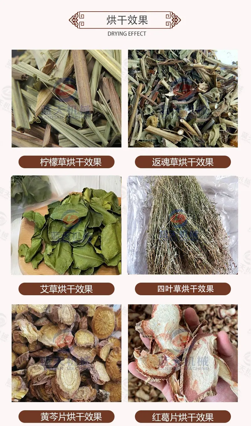 xiaog.jpg