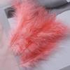 Decoración de plumas color pluma de pavo cola puntiaguda red de atrapasueños de terciopelo material bola ondulada relleno de caja de regalo accesorios para fotografía