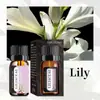 Óleo Essencial Aromaterapia Solúvel em Água Ponto de Fábrica 10ml Purificador de Ar Aromaterapia Umidificador Difusor Fragrância de Longa Duração