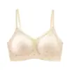 Lingerie de Renda Floral Pura com Decote V para Outono e Inverno para Seios Pequenos, Sem Fio, Sustentação Lateral, Sutiã Respirável para Jovens Mulheres