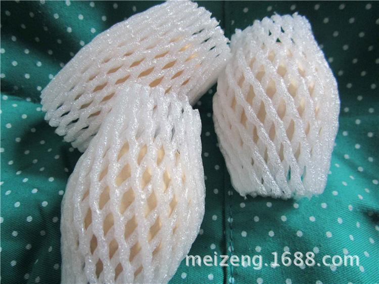 2-0508fruit form net (2)