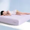 Funda de colchón individual para sueño profundo sin costuras, Protector de colchón Simmons de cobertura total a prueba de suciedad y polvo, Modelo de funda de cama de Taiwán para ventas transfronterizas