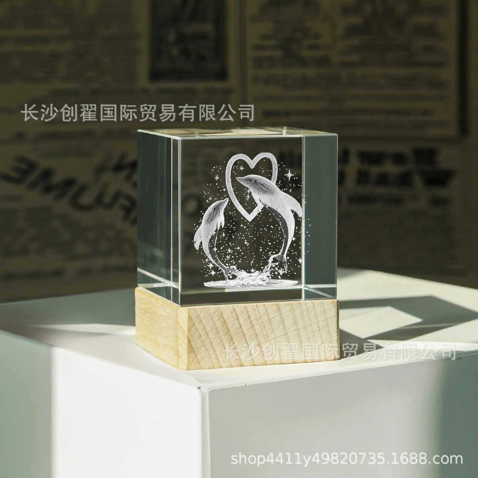 海豚_07.jpg
