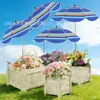 Parasol Popular para Plantas de Amazon Modelo Mejorado Parasol Ajustable para Exteriores Jardín Macetas