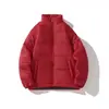 Ropa de Algodón de Invierno para Hombres y Mujeres, Chaquetas de Algodón Nuevas Elegantes y Hermosas, Abrigos de Algodón de Estilo Coreano Ajustados Modernos, Unisex