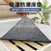 Colchón de Fieltro para Todas las Estaciones, Colchón para Dormitorio Estudiantil, Esterilla de Fieltro a Prueba de Humedad, Esterilla de Piso, Esterilla Tatami, Esterilla Absorbente de Humedad y Antimoho
