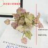 Sensação de mão simulada de folhas de coentro chinês de cobre planta suculenta mini cola macia planta verde display de mesa de escritório planta verde