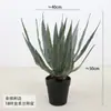 Agave Aloe Vera Simulados em Vaso Planta Verde Sisal Coroa Orquídea Paisagismo Interno Decoração de Casa Bonsai Orquídea Tigre