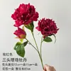 Materiales Florales Rojo Rosa de Alta Calidad Más Vendidos para Accesorios de Salón de Bodas, Decoración de Entrada, Arreglo Floral de Techo Estilo Chino Nuevo y Decoración de Pasillo