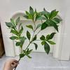 Plantas Verdes Artificiais para Casamento, Grama Aspargo Verde Estilo Floresta, Flores Artificiais Verdes, Materiais Florais Artificiais para Casamento, Série de Decoração para Salão de Casamento