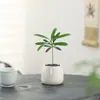 Plantas en maceta miniatura para tus yemas de los dedos, purifican el aire, perfectas para escritorios interiores, verdor ultra-miniatura y añadiendo un toque de diversión a la oficina