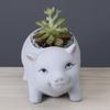 Maceta de cerámica para animales pequeños de hogar nórdico moderno, para interiores, creativa, simple, para escritorio, ventana, artesanías, adornos