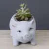 Decoración moderna para el hogar nórdico maceta de cerámica para animales pequeños adorno de artesanía artística de exhibición de escritorio simple creativa para interiores