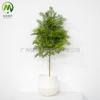 Rama de pino de simulación hoja de abeto chino rama de fruto de pino pino de bienvenida pino de belleza pino Luo Han bonsái hoja decoración árbol de navidad rama de pino falsa
