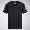 Camiseta de Manga Corta de Seda Helada de Verano para Hombre, Transpirable de Malla, Delgada, Casual, Versátil, de Secado Rápido, Camiseta Deportiva con Sensación de Hielo