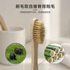 Escova de Dentes de Cerdas de Porco e Bambu OEM Personalizada Exportação de Comércio Exterior Fábrica de Conjuntos Descartáveis de Escova de Dentes e Pasta de Dentes Venda Direta