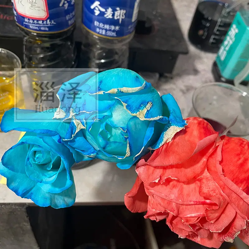 首图鲜花2