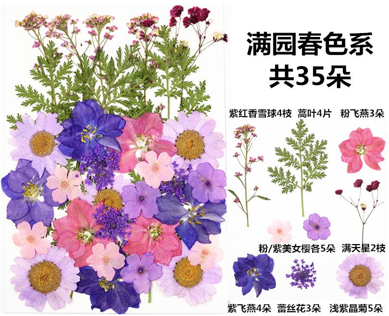 IMG_3634_副本_副本_副本